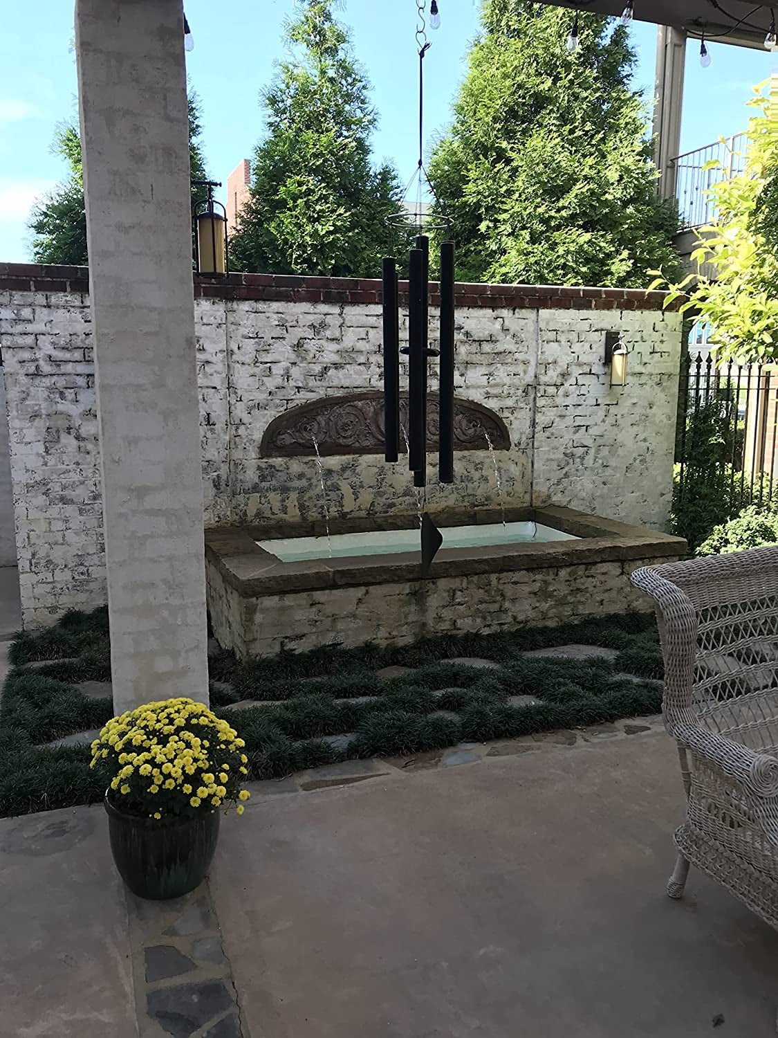 Dwarf Mondo Grass (Ophiopogon japonicus 'Nana') 18 Count Flat, 3.5