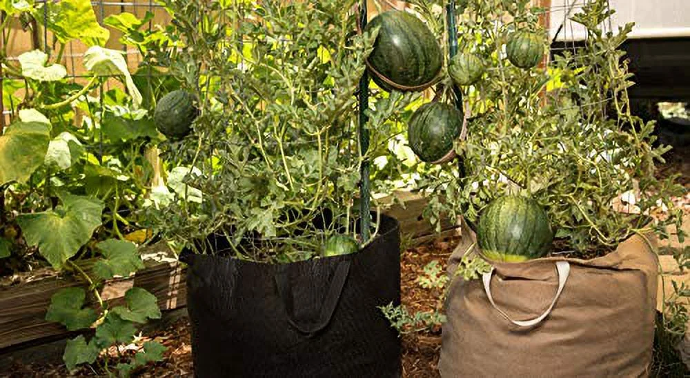 Smart Pot RC20H 14020 Fabric Pot, 20-Gal, Black