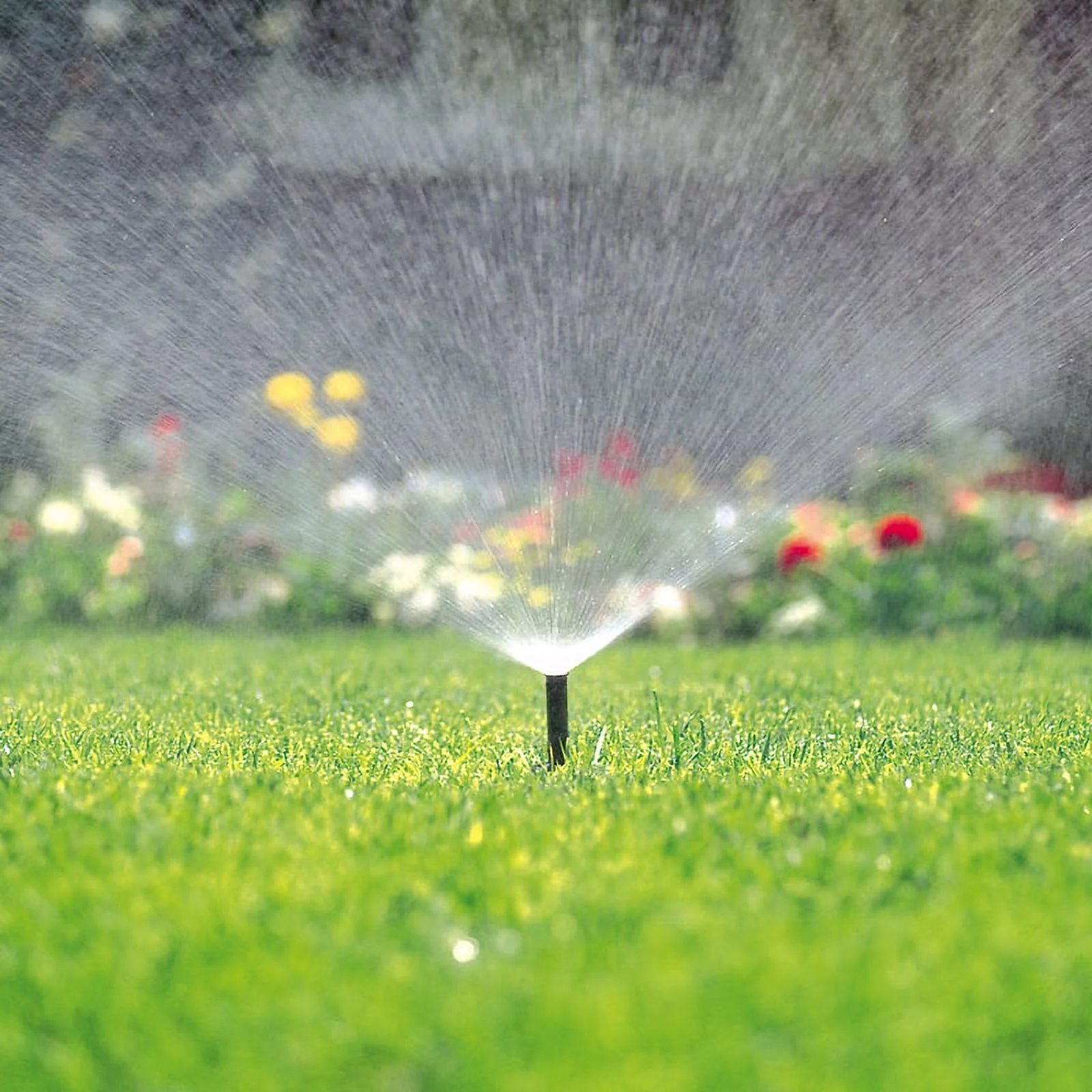 Toro 4 in. 570Z Head Body Pro Series Pop-up Pressure-Regulated Sprinkler