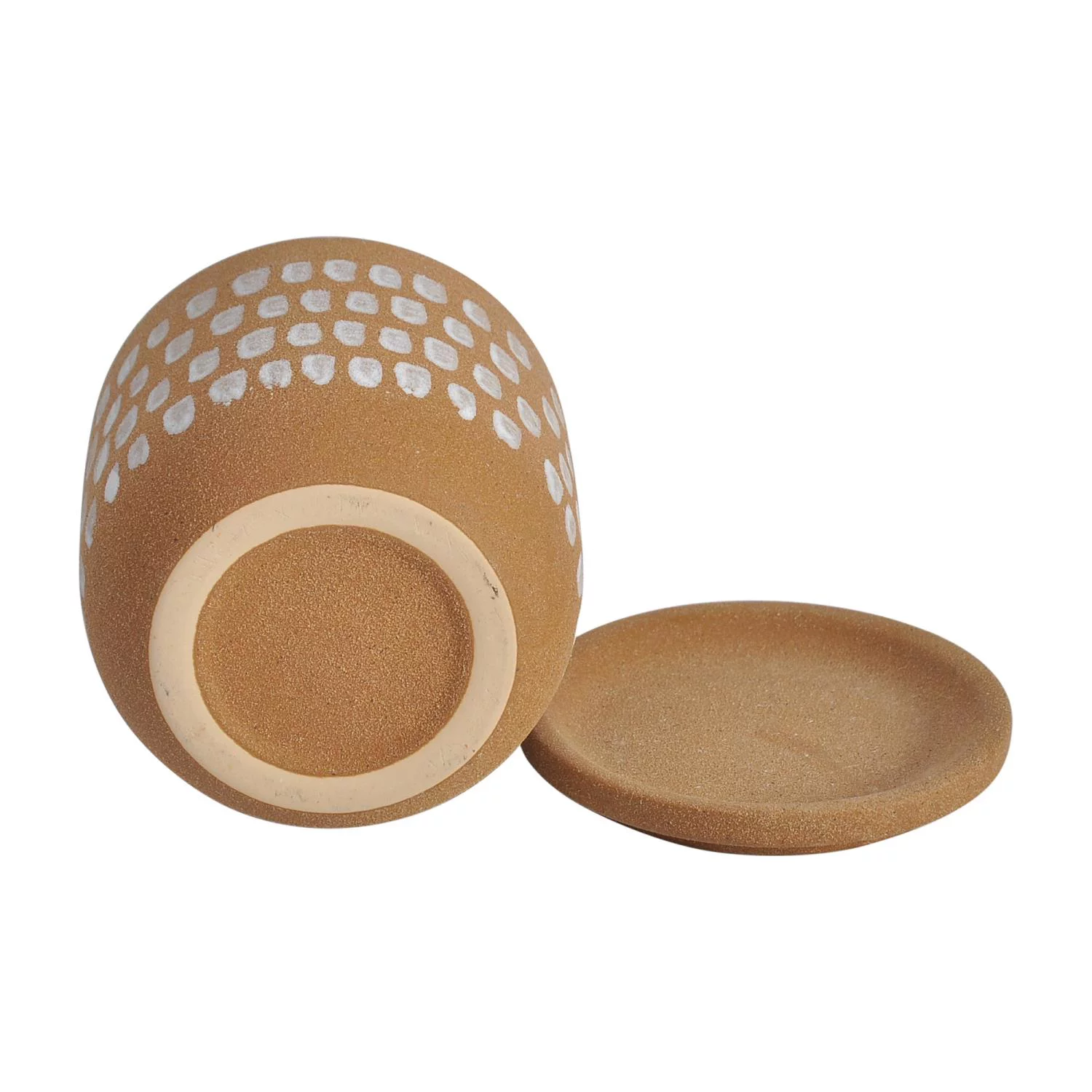 Moe's Home Collection Botanical Planter 4.5In Natural