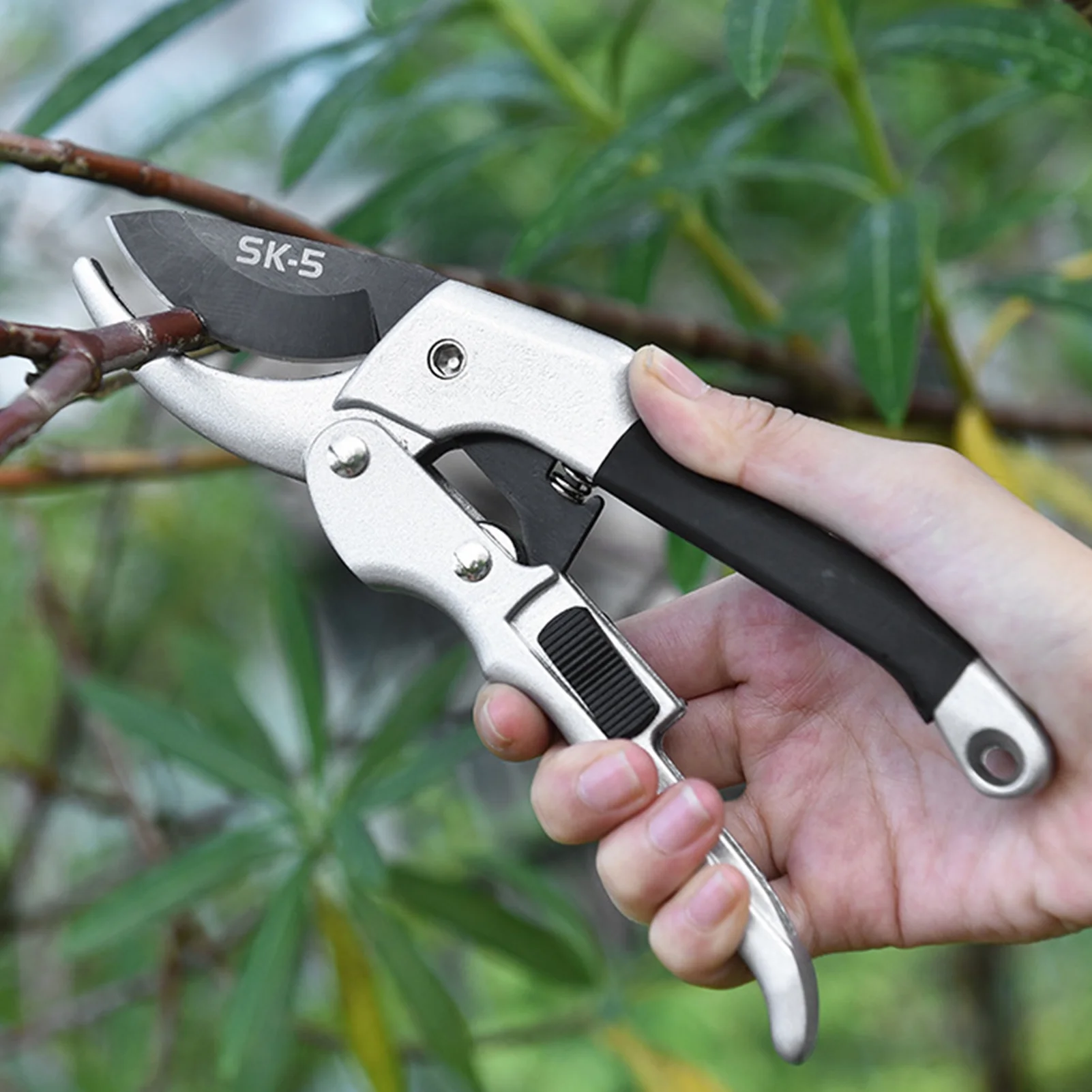 Dadypet Pruning Shears,Tool Kit Rose Steel Shears Scissors Secateurs Scissors Bonsai Cutters Bonsai Cutters Tool Flowers Shears Scissors Bonsai Rose Ers Fruit Cutters Tool Kit Adben Huiop Qisuo
