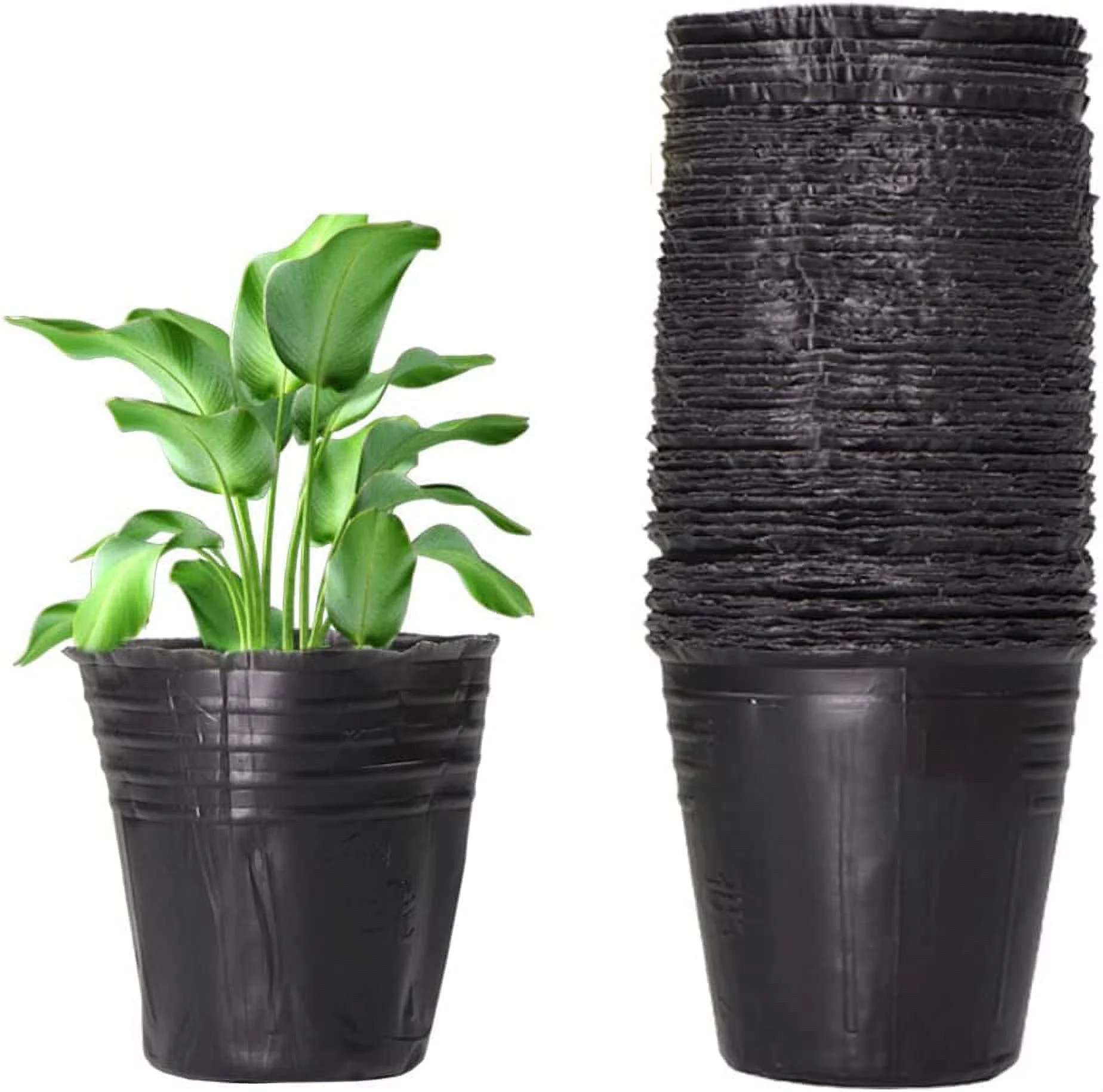 6 Inch Plastic Plants Nursery Pot/Pots Seedlings Flower Plant Container Seed Starting Pots, 60 Pcs