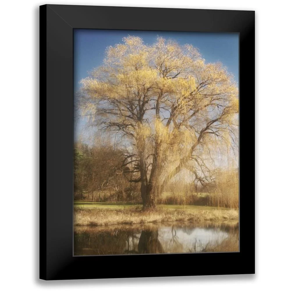 Vitaly, Geyman 11x14 Black Modern Framed Museum Art Print Titled - Willow Magic I