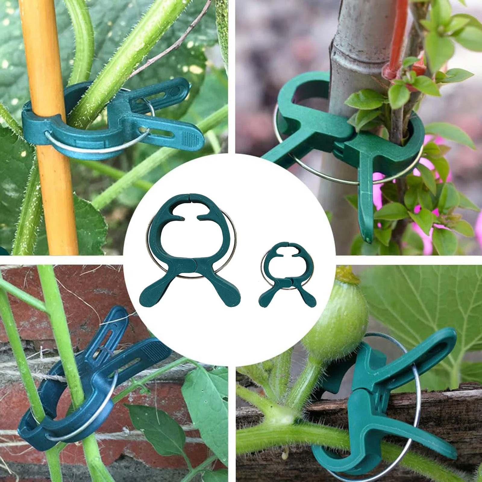 Clamps for Crafts Secured Plastic Clips Support Clips Clips For Climbing Fixing Clips Tomato Clips For String