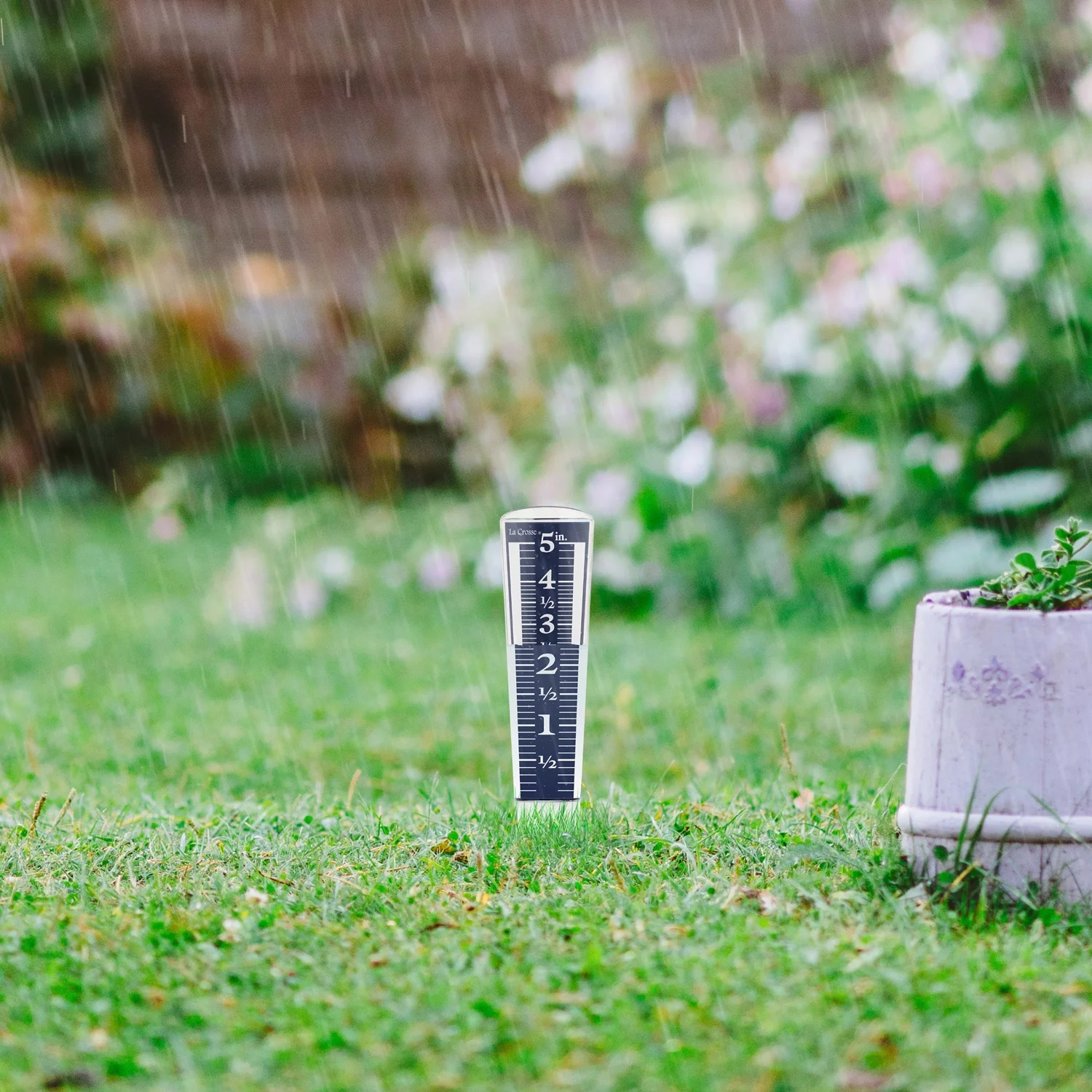 La Crosse 704-1531 Large Easy Read Magnifying Acrylic Rain Gauge