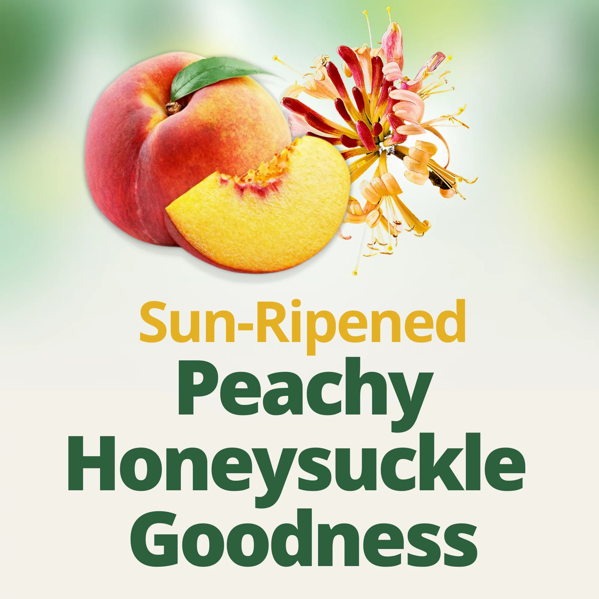 Del Monte Fruit Refreshers Peaches in Honeysuckle Flavored Fruit Water, 2 Pack, 7 oz