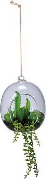 Cacti - Oval Planter