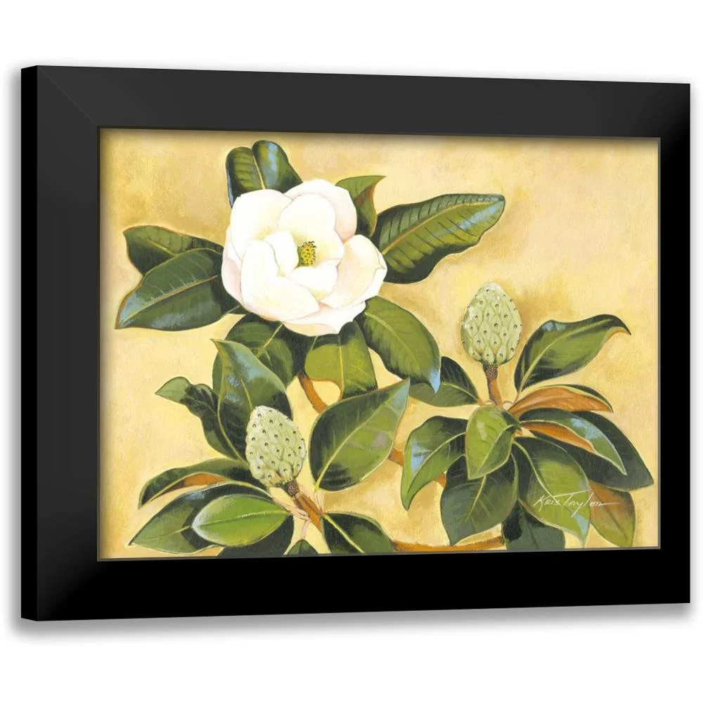 Taylor, Kris 14x12 Black Modern Framed Museum Art Print Titled - Southern Magnolia II