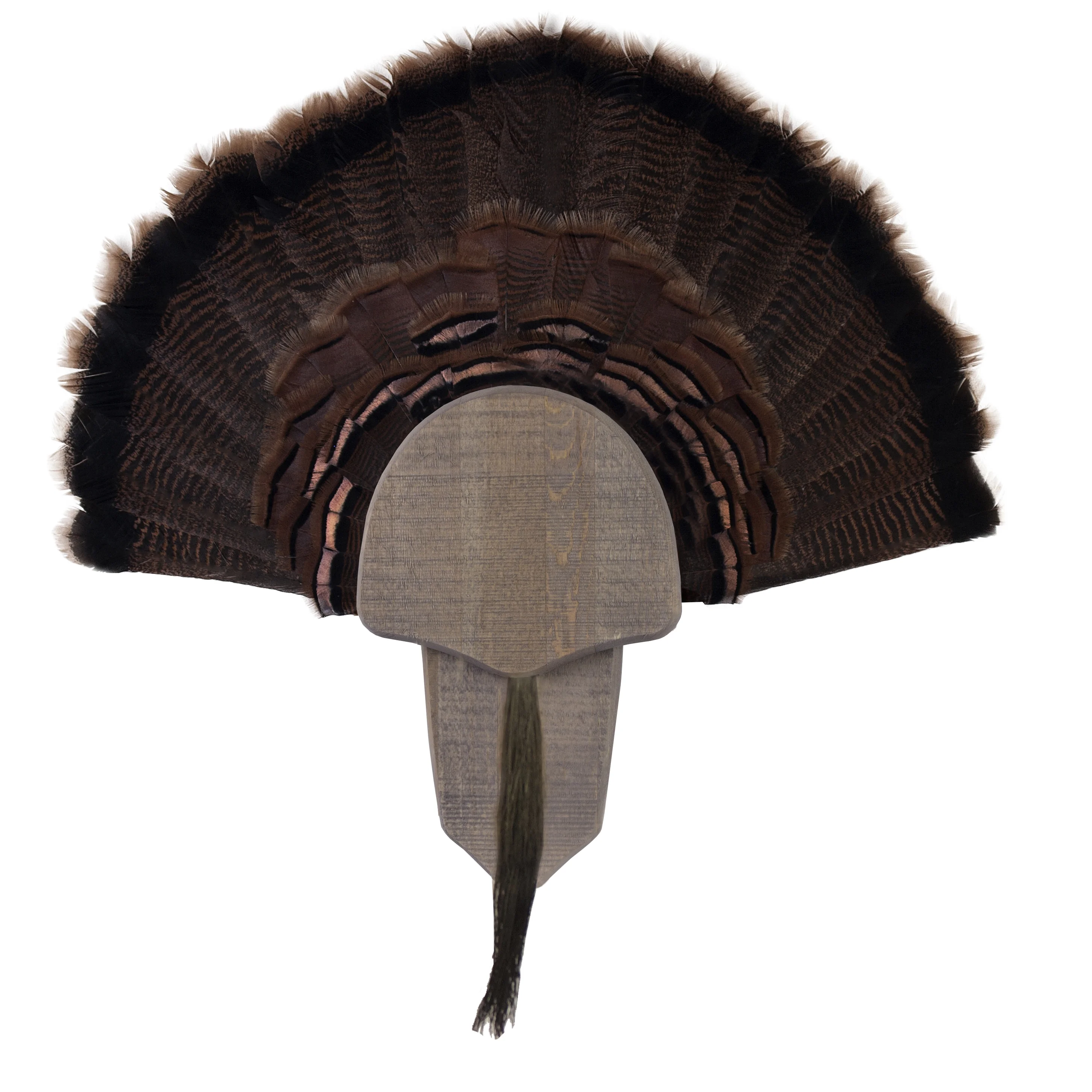 Walnut Hollow Country Rustic Turkey Fan Display Kit