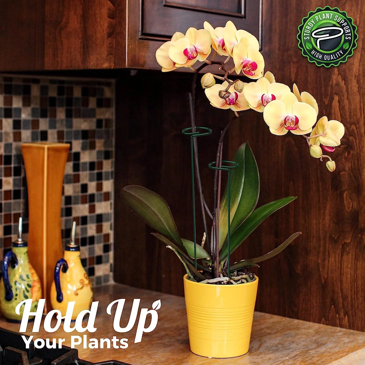 Fymlhomi 6 Pack Plant Stakes for Flowers, Metal Single Stem Plant Support, Garden Plant Stakes for Amaryllis Orchid Lily Rose Tomatoes, Dark Green, 40.5 CM/15.9 INCH