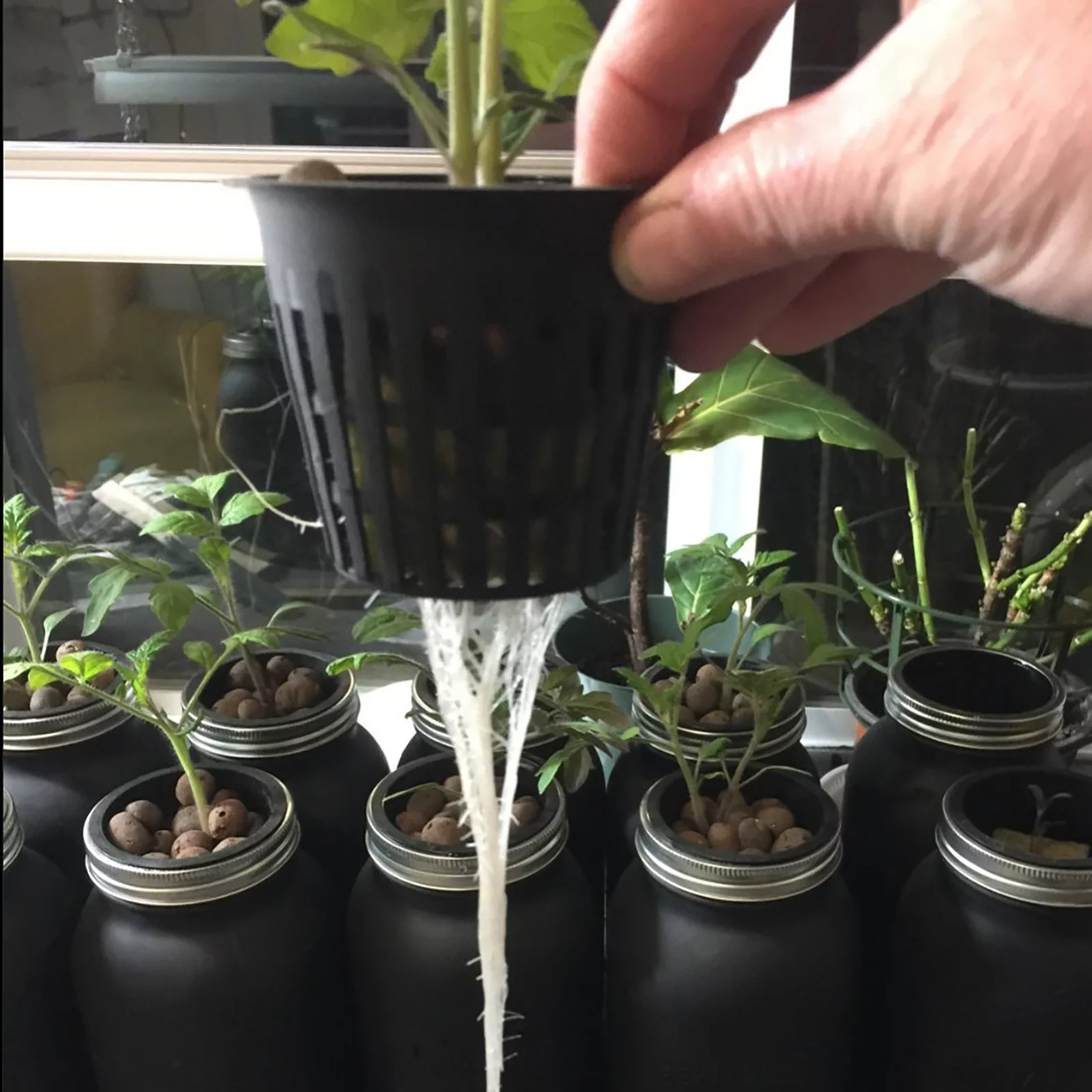 Starter Peat Gardening Seedling Cup Environmental Molded Flower