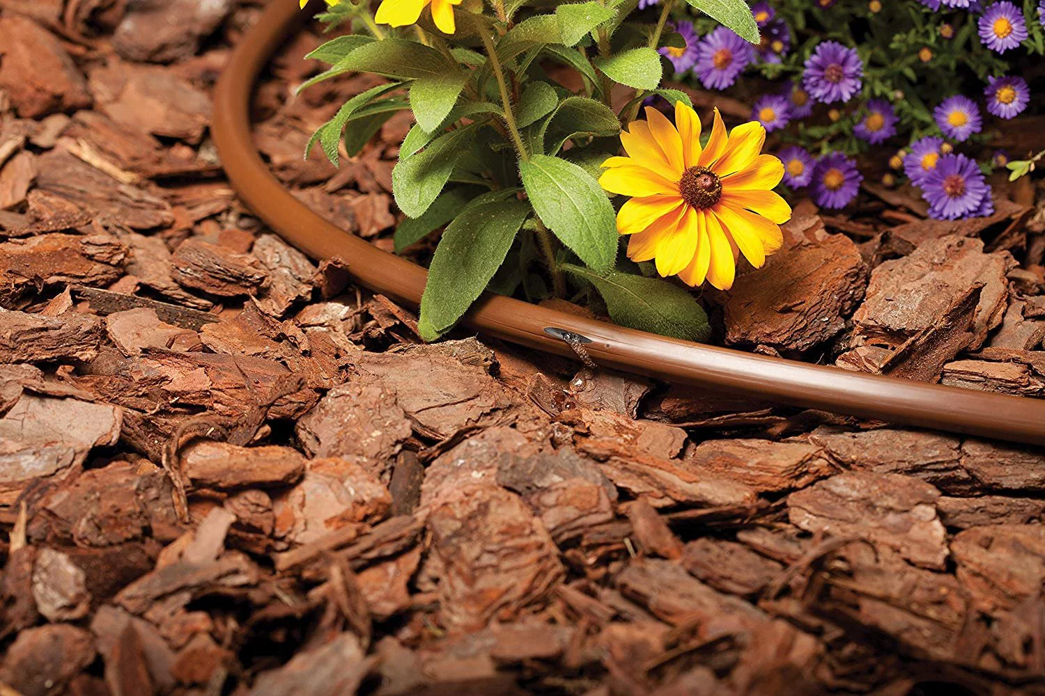 Rain Bird ET63918-50 DripIrrigationPressureCompensating 1/2