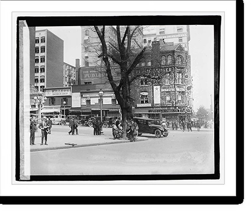 Historic Framed Print, Morse Elm, 5/13/21, 17-7/8