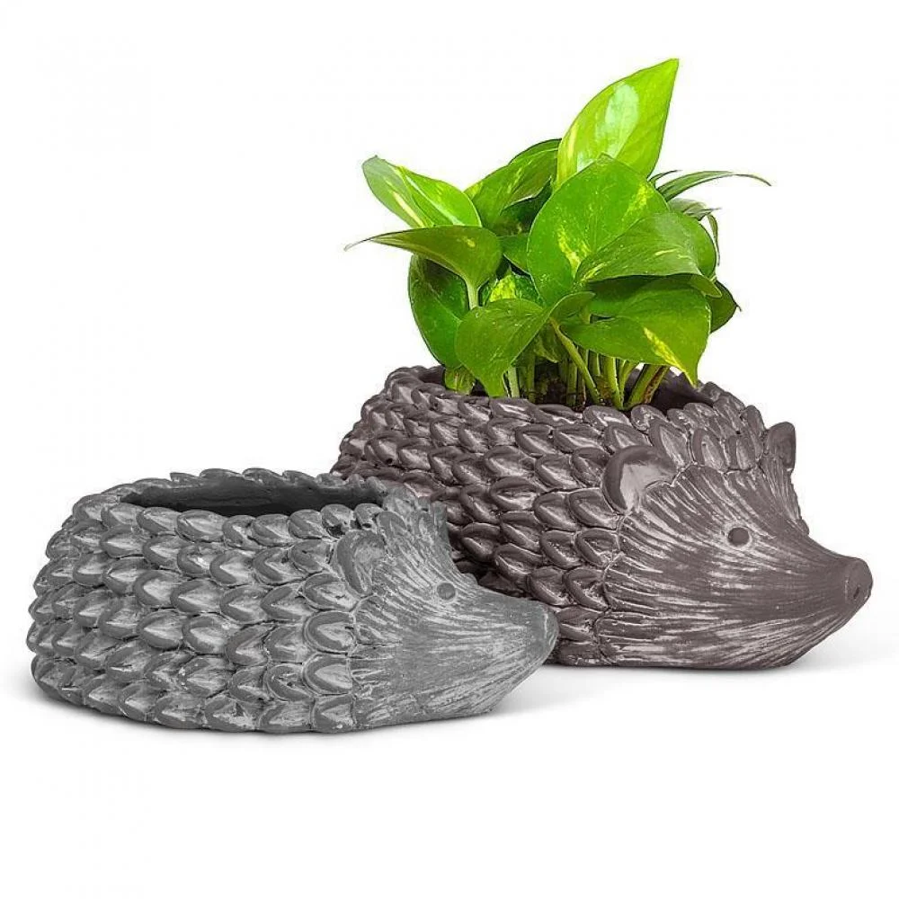 Hedgehog Planter