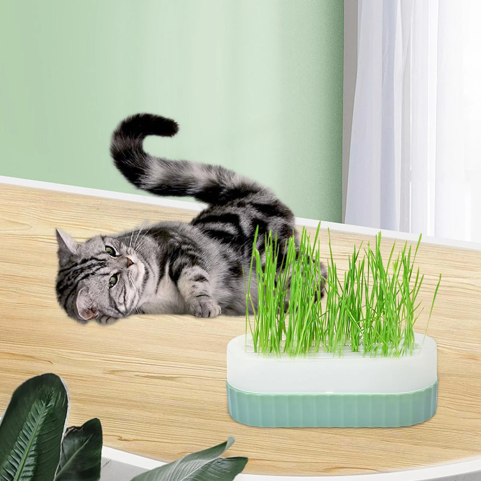 Plants Trays Cat Snack Tray Cats Green