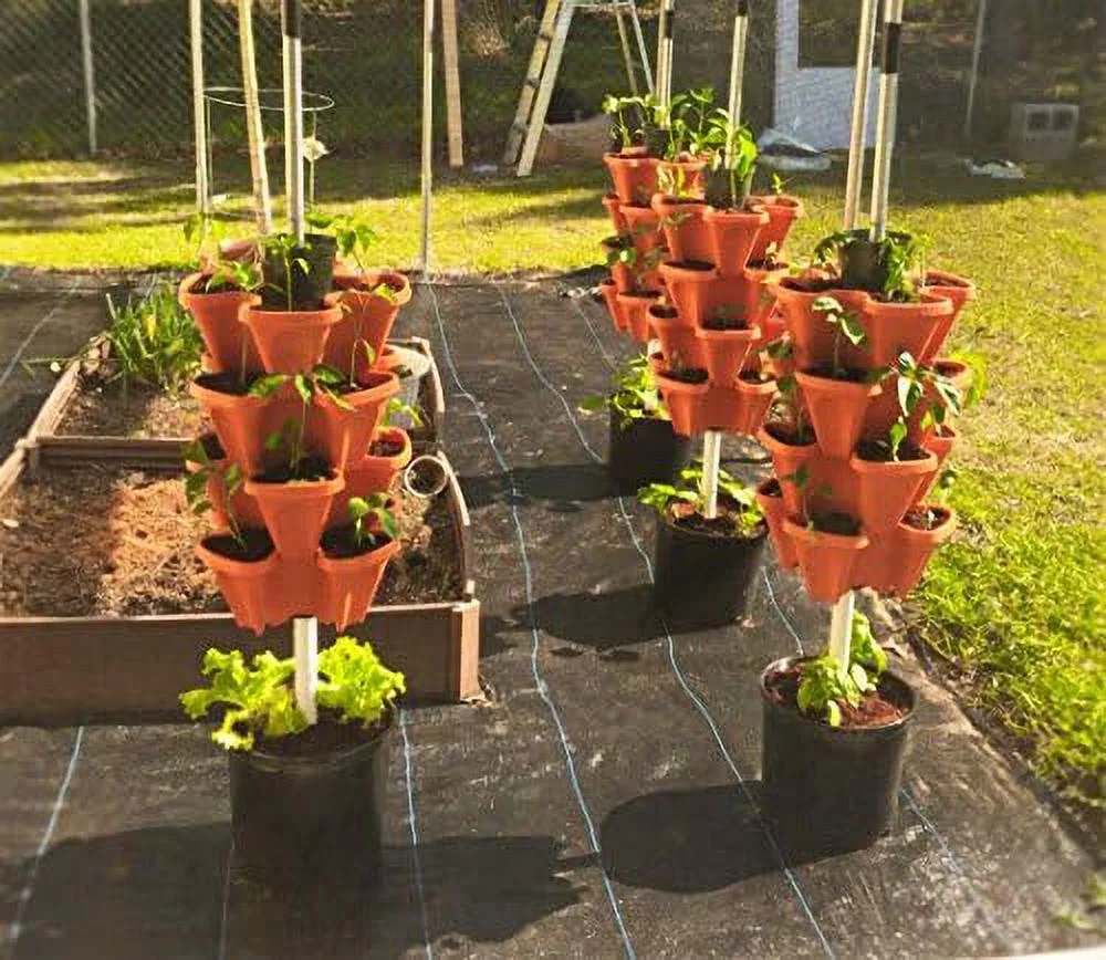 Planter, Terra Cotta