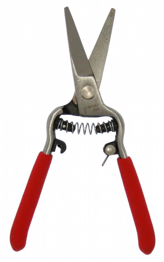 Zenport Z270 Needle nose Shear Bonsai & Orchids Mini 6 in. Forged St