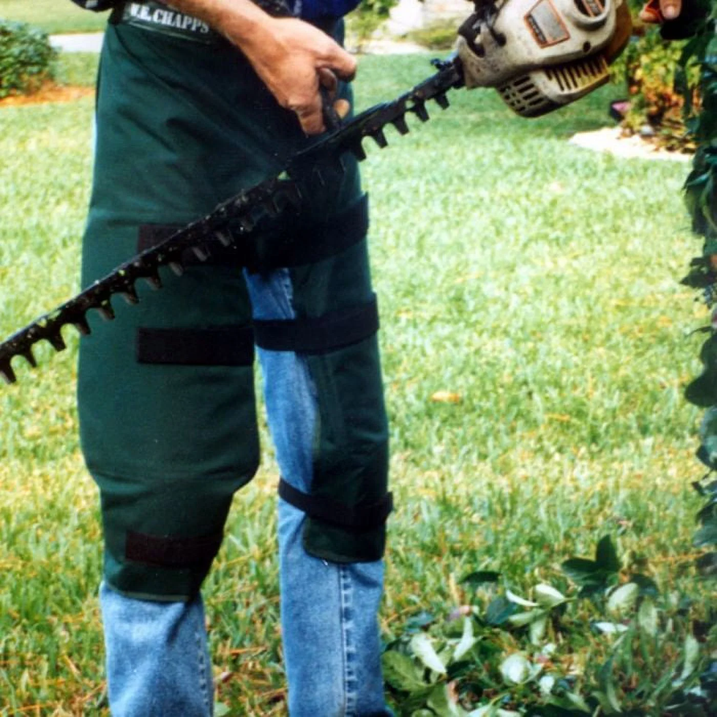 W.E. Chapps Hedge Trimmer Chapps, Dark Green - Small