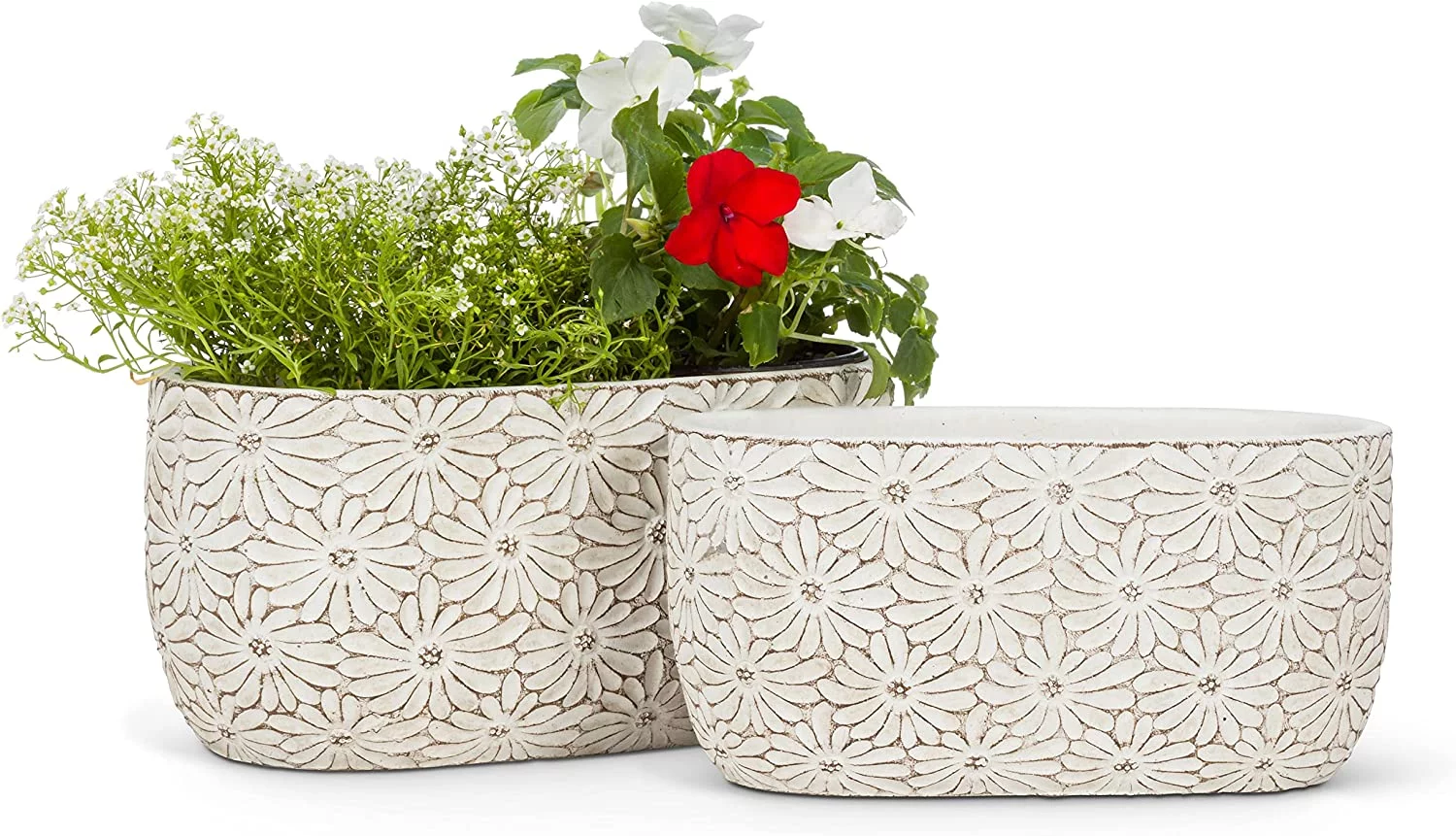 Large Oval Daisy Planter
