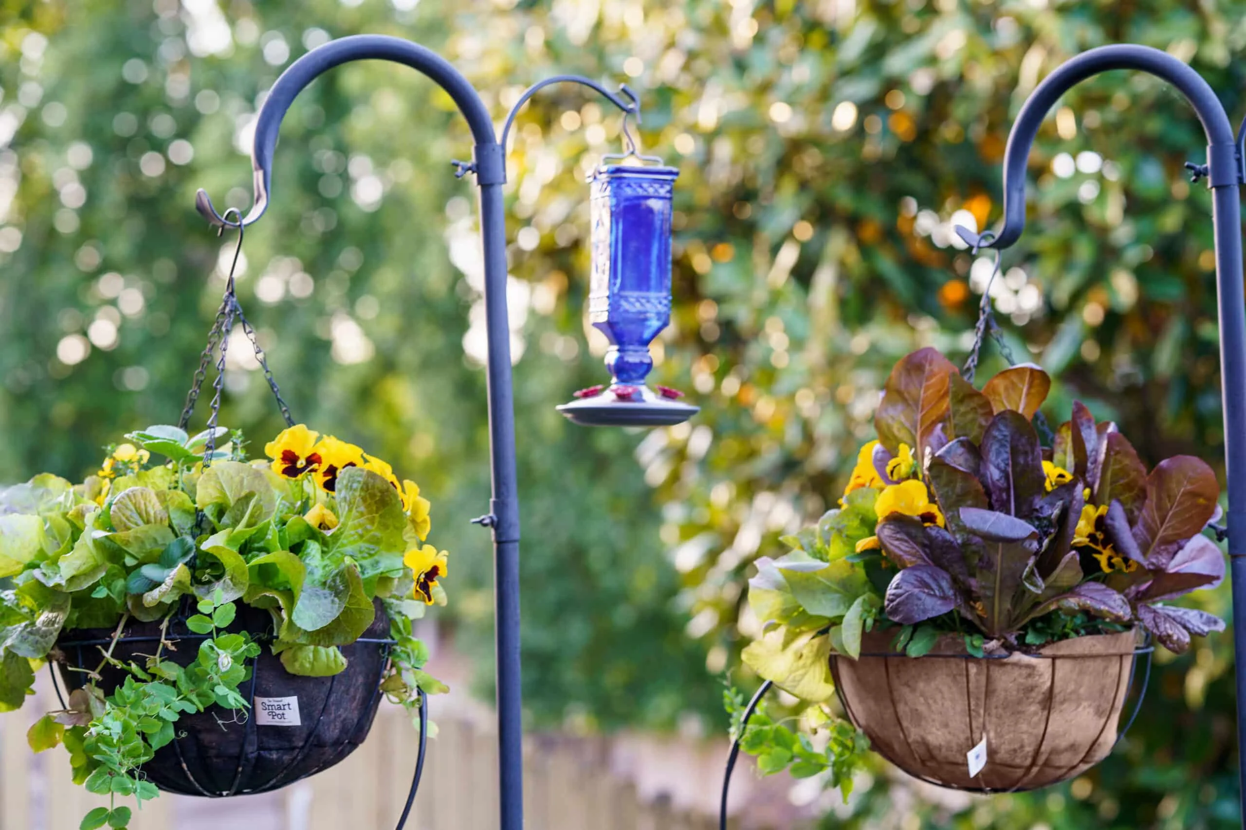 SMART POT NoCoco Liner 12