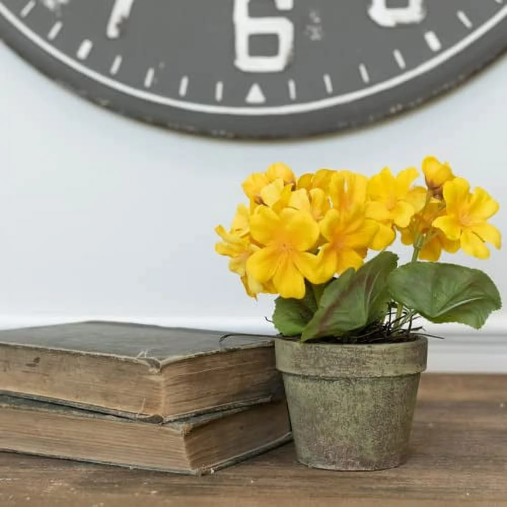 CHUXAY GARDEN Yellow Geranium Seed,Geraniums,Cranesbills 100 Seeds Geranium Flowers Hardy Wild Dwarf Ivy Leaf Flowering Plant Beautiful Potted Plants