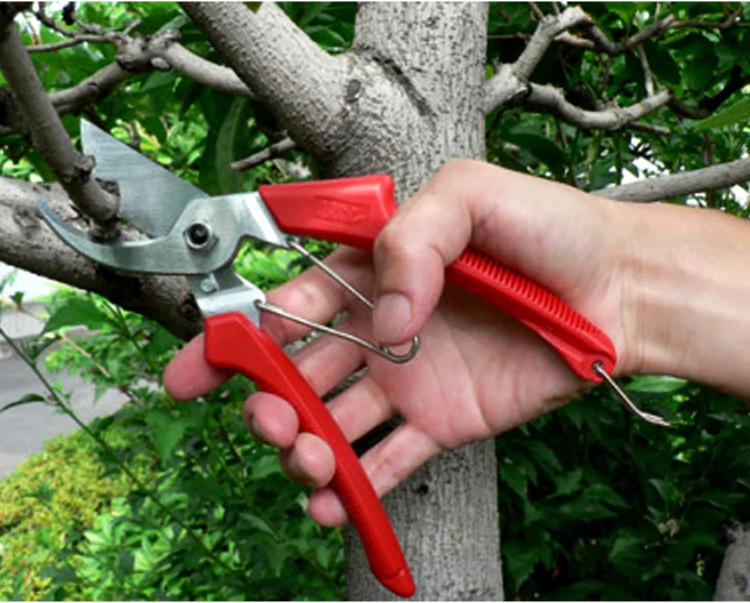 ARS 120DX 8-Inch Precision Pocket Secateur Heavy Duty Pruner Red