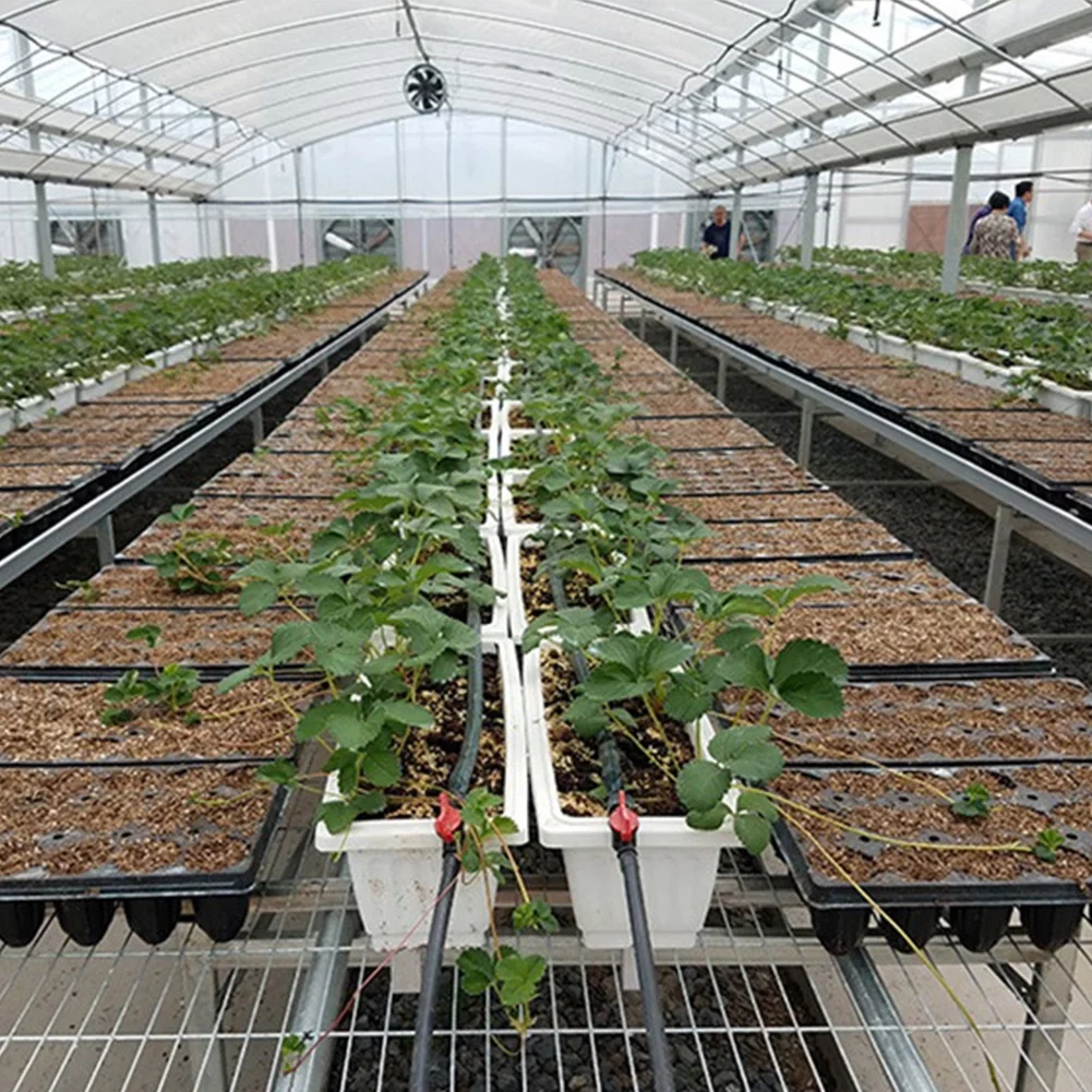 Garden Germination 10Pcs Succulent Bonsai Plastic Seedling Tray Nursery Tray Seed Grow Box Flower Pot 32 CELLS