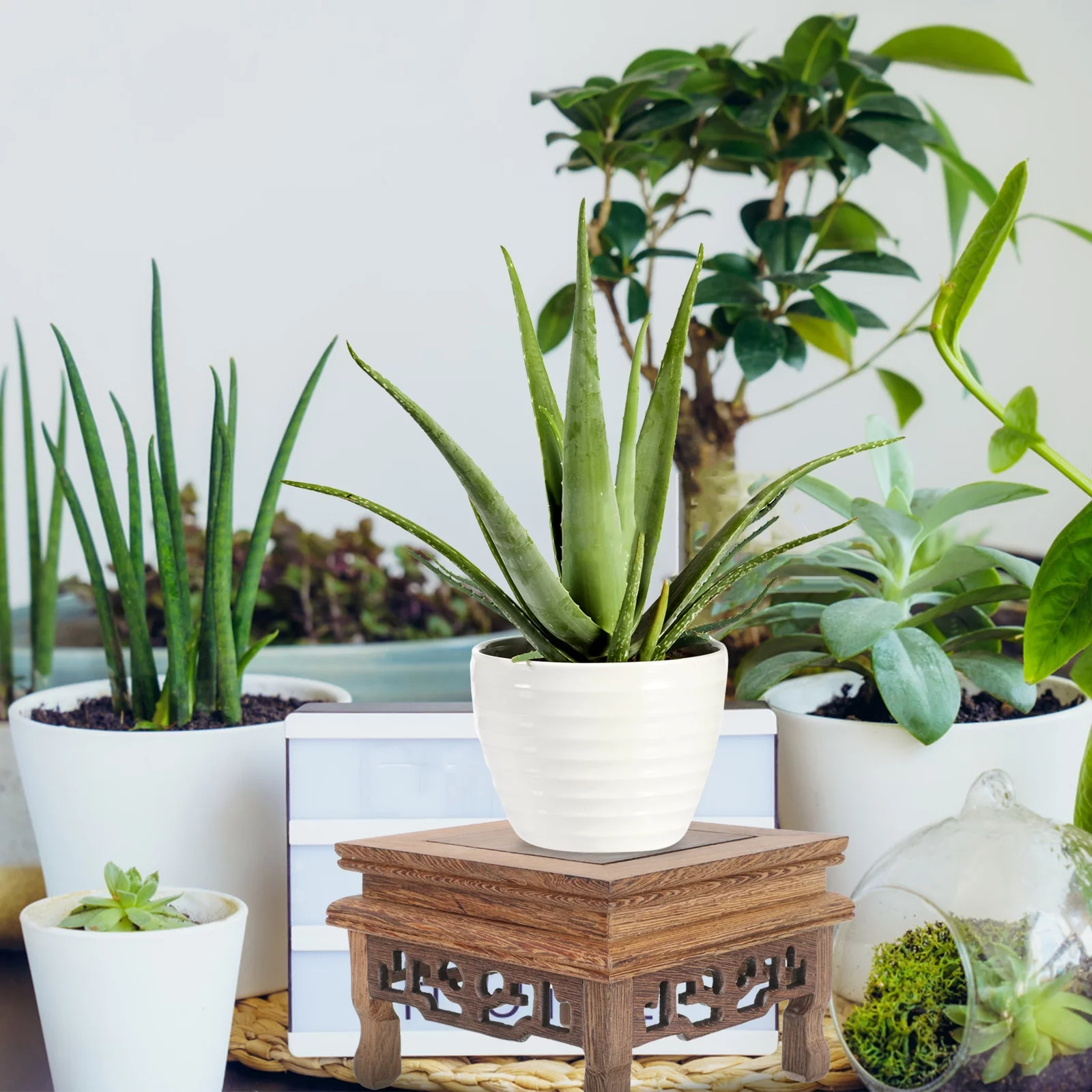 Qumonin Wooden Plant Stand Flower Pot Holder Vase Pedestal Display Stand