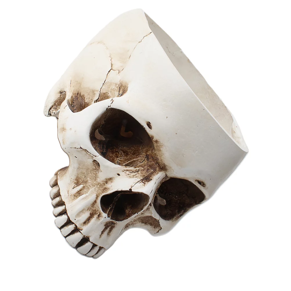 Gongxipen Halloween Skull Ornament Resin Plant Pot Container Human Skull Head Flower Pot Halloween Antique Appliance Planter Container Craft Ornament