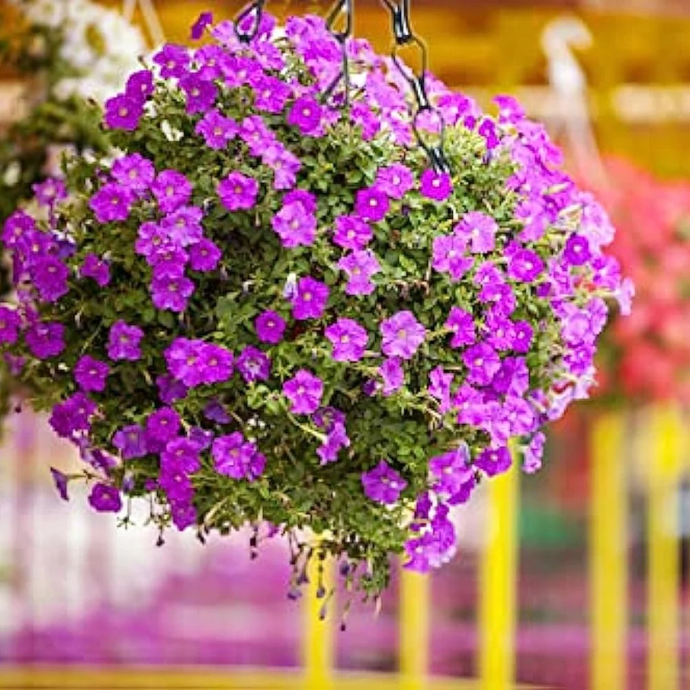 Metal Hanging Baskets with Coco Coir Liner Hanger Holder Plant Flower Pot