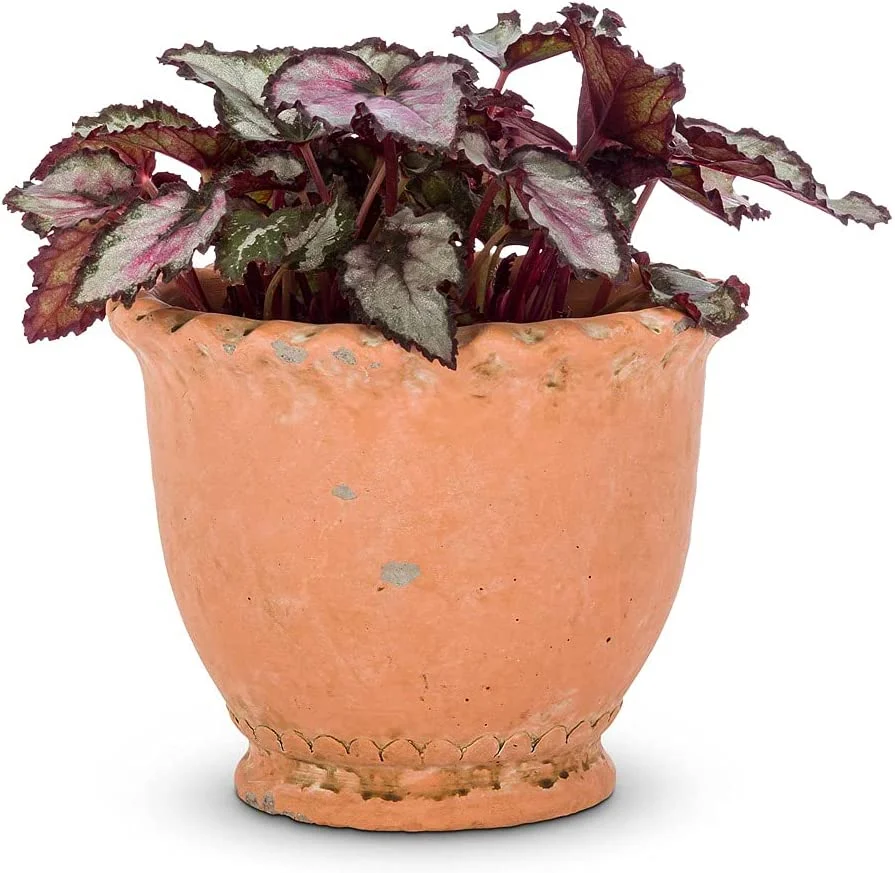 Extra Small Round Ruffled Planter