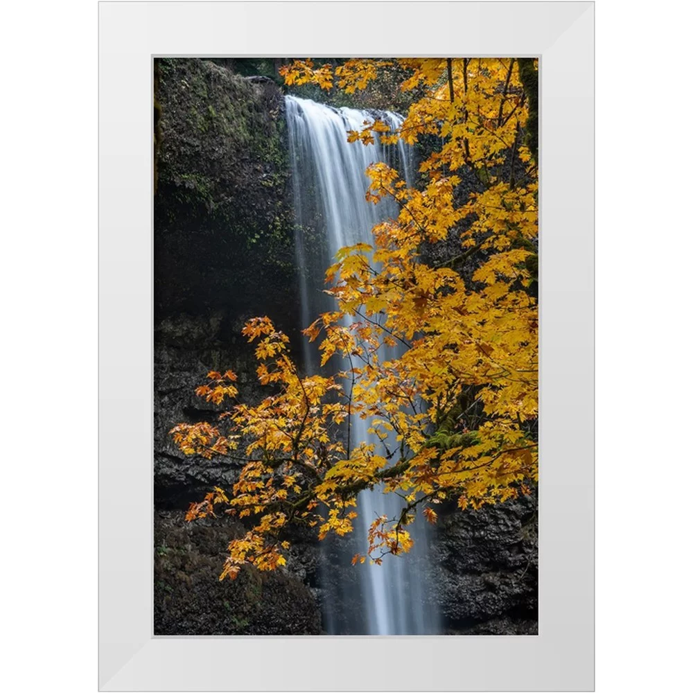 Jaynes Gallery 11x14 White Modern Wood Framed Museum Art Print Titled - USA-Oregon-Silver Falls State Park Tall waterfall and forest in autumn