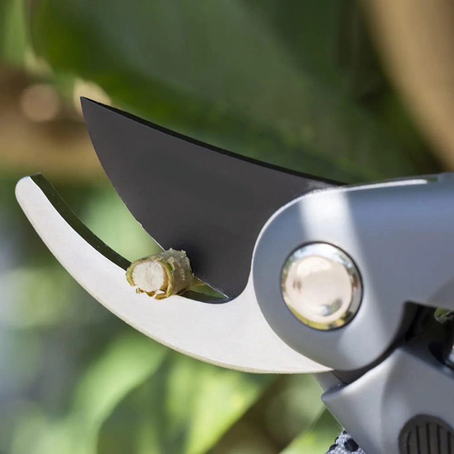 -Sharp Bypass Pruning Shears  Gardening Scissors  Tree Trimmers Secateurs  Hand Pruner  Garden Shears  Grafting tool Clippers For The Garden   Cutters  Loppers  Plant Cutter. (YM-1001)