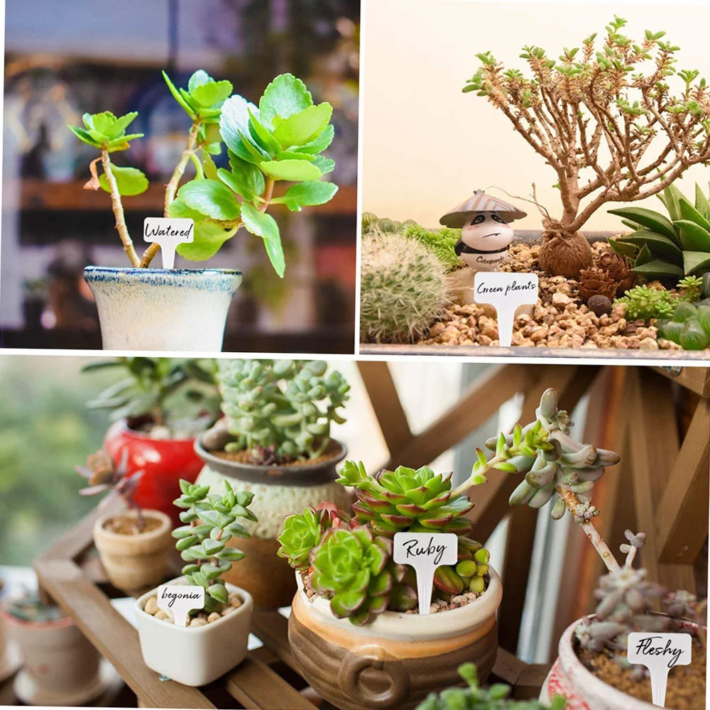 Irfora Gardening Gadget,Dibbles Dibbers And 2-inch Soil Block Soil Blocker Plant Label Marker Dibbers And 50-piece Soil Tool Block Maker Soil Reusable Plant Label Tool With Dibbles Yorten Baoe