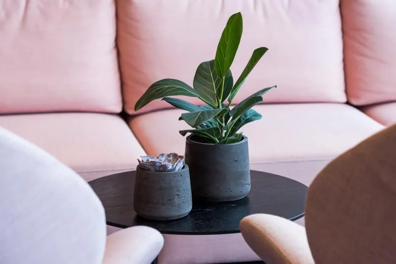 Black Washed Fiberstone Planter Indoor and Outdoor Flower Pot 8