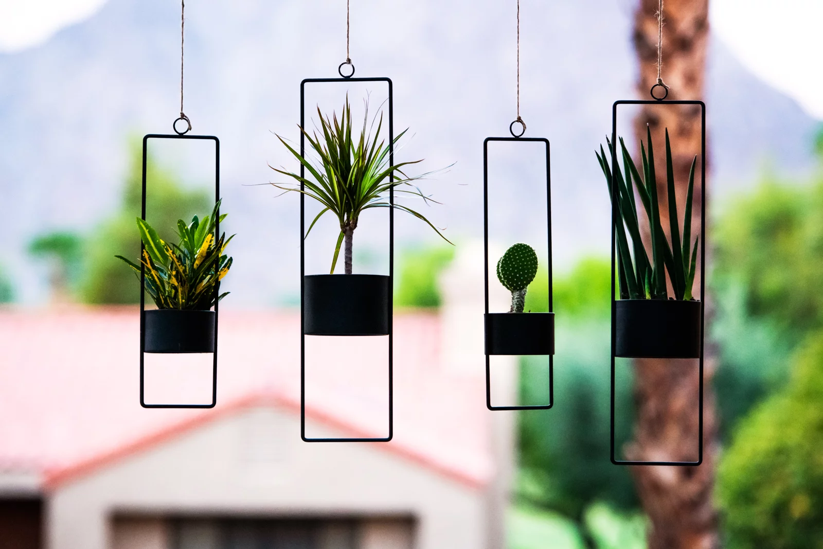 hide+seek SUPPLY CO. 19