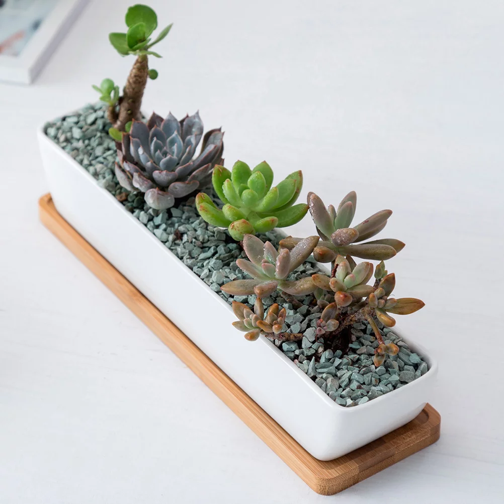 Guichaokj Rectangular Succulent Flowerpot Gardening Ceramic Plant Pot with Bamboo Saucer