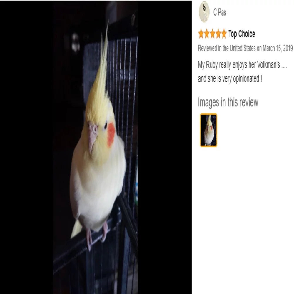 Volkman Avian Science Cockatiel No Sunflower Seeds 4-Pounds Resealable