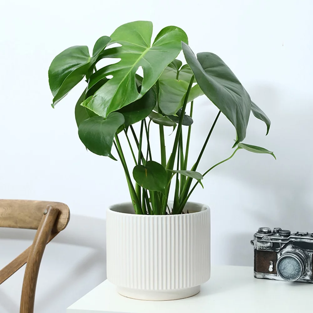 GOQODO Flowerpots, Ceramic Planters Modern Decorative Flower Pots with Drainage Hole and Connected Saucer