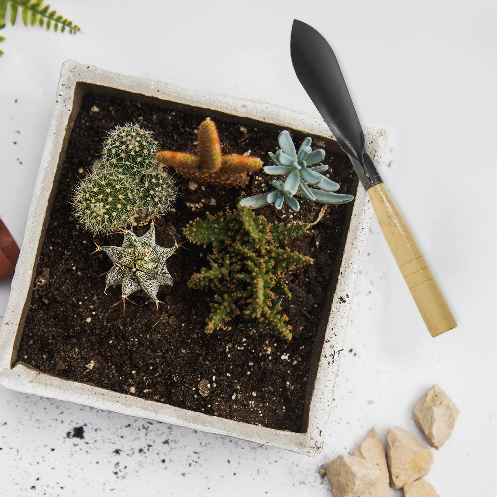 Gardening Shovel Scoop Digging Tools Hand Trowel Bonsai The Control Wooden Iron