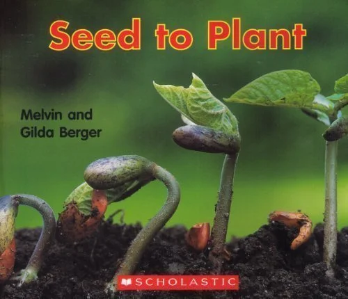 Pre-Owned Seed to Plant 9780439574860