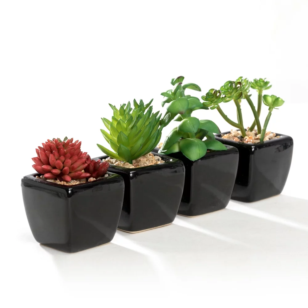K-Cliffs Set of 4 Mini Artificial Succulent Plants Potted in Cube-Shape Black Ceramic Pot