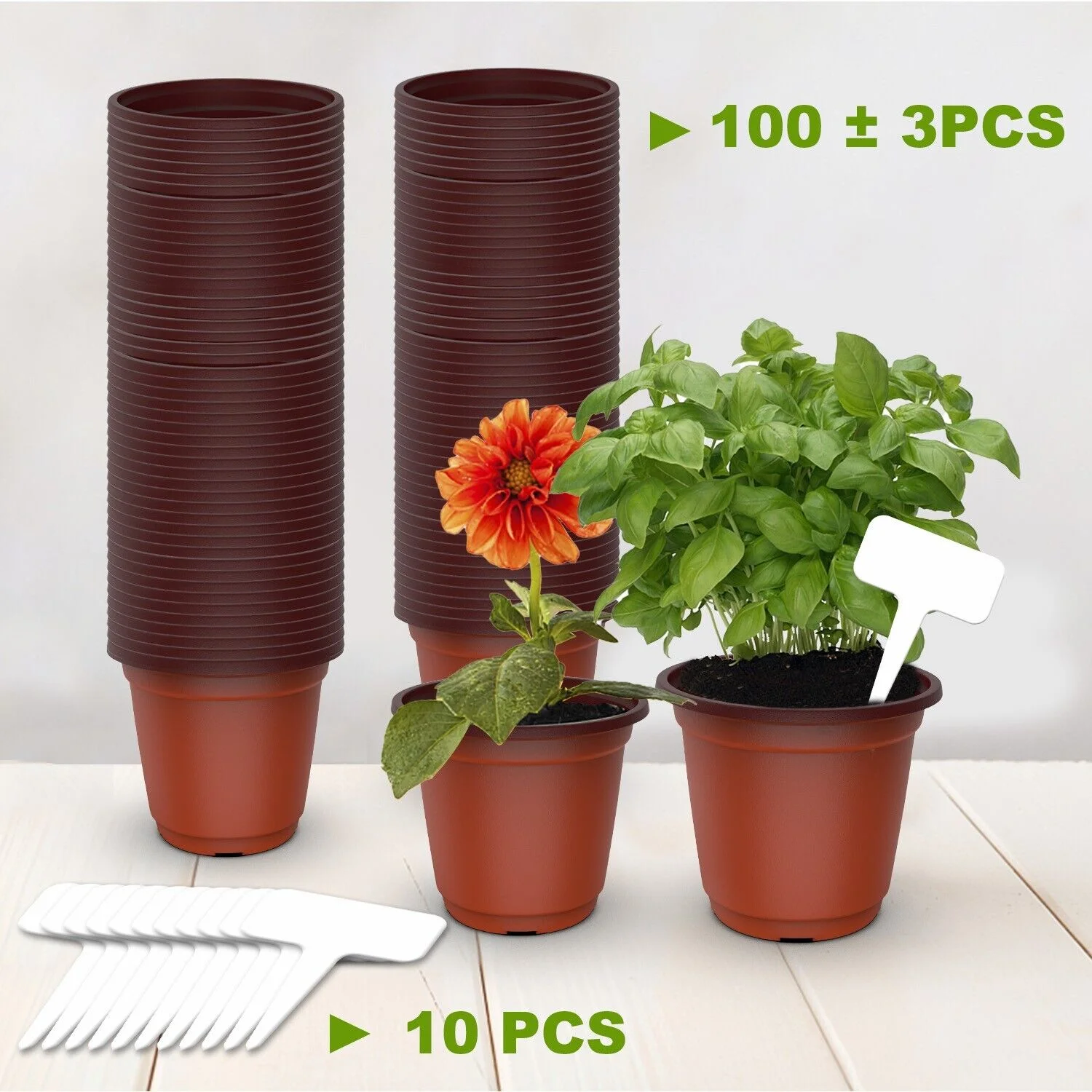 100x Garden Nursery Plastic Pots Flower Plant Container Seed With Label＆Fly Trap