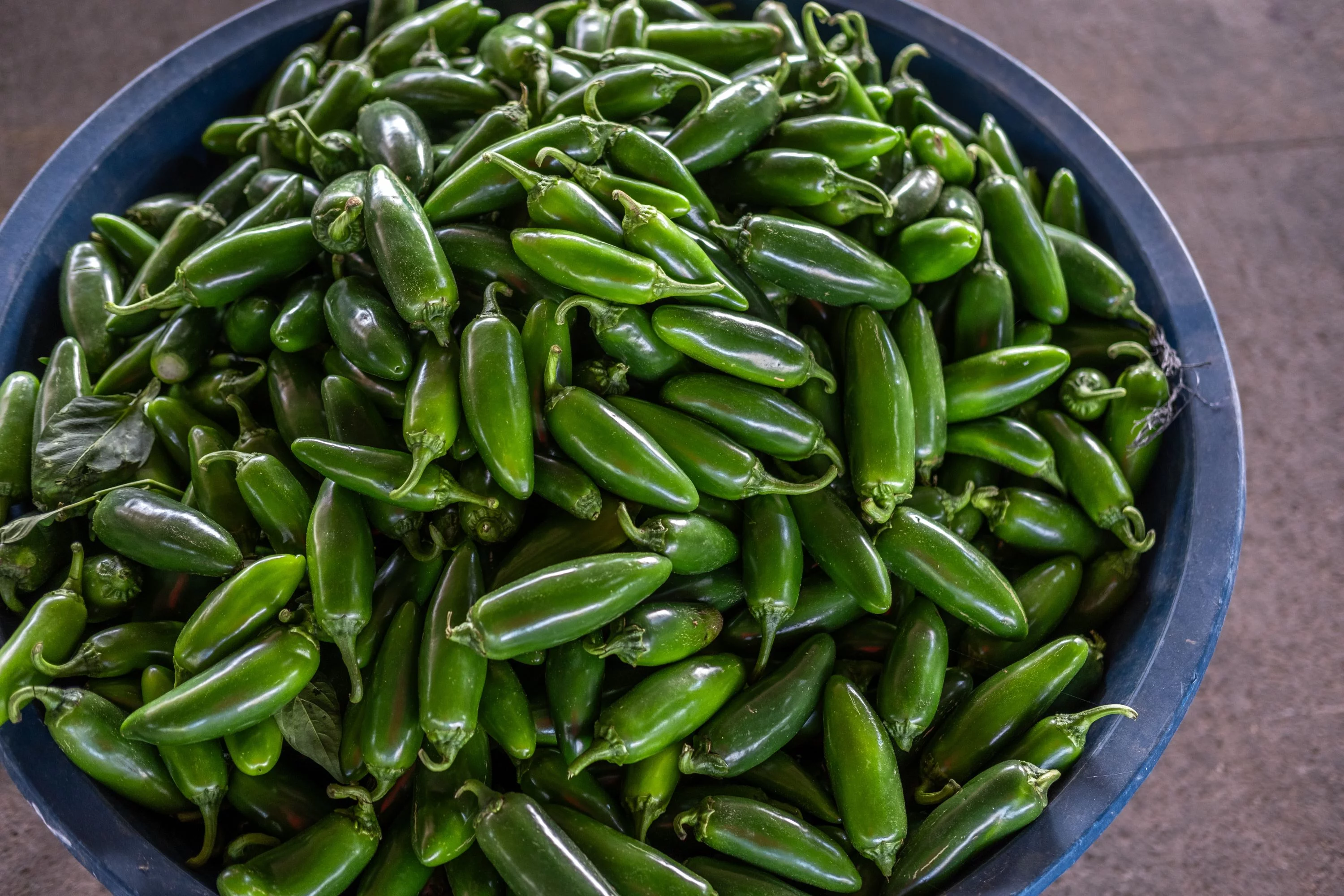 Jalapeño Pepper Seeds/ Annual/ Full Sun/ 4K Seeds 1 oz/ Zellajake Farm and Garden - B72