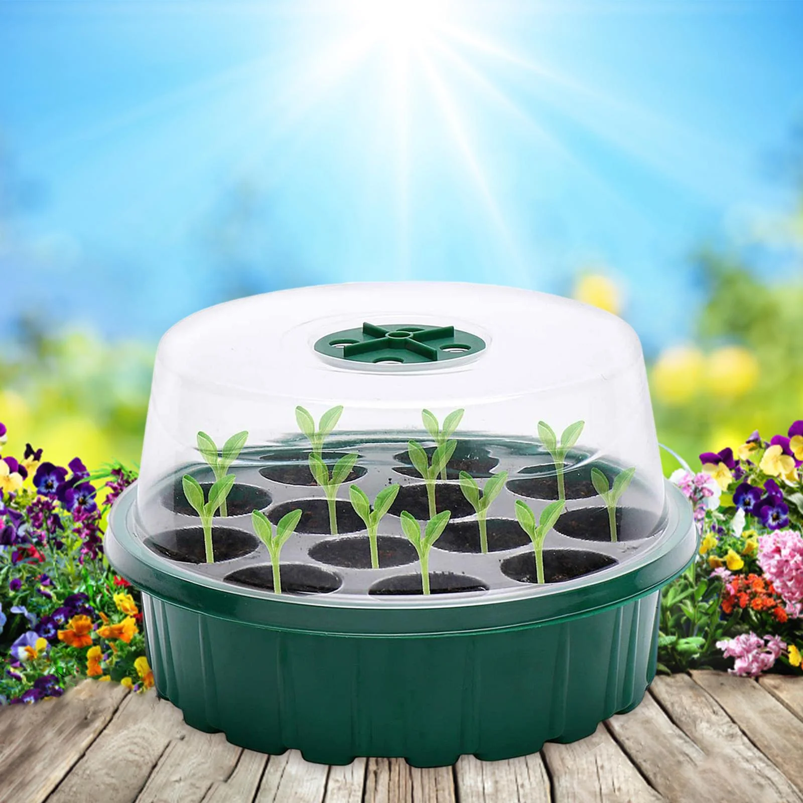 oshhnii 13 Cells Seedling Starting Tray Growing Tray Watertight Base house