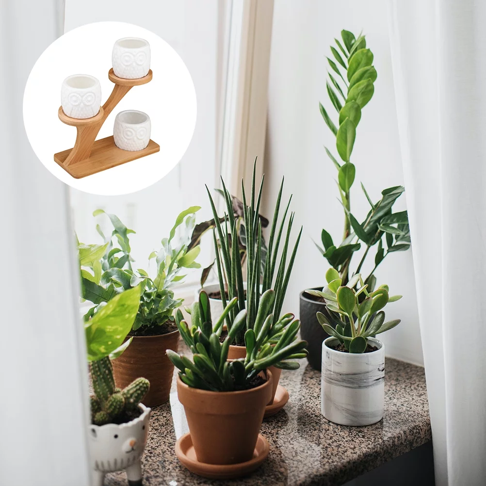 1 Set Creative Flower Pot Succulents Pot Owl Pattern Flowerpot Plant Container