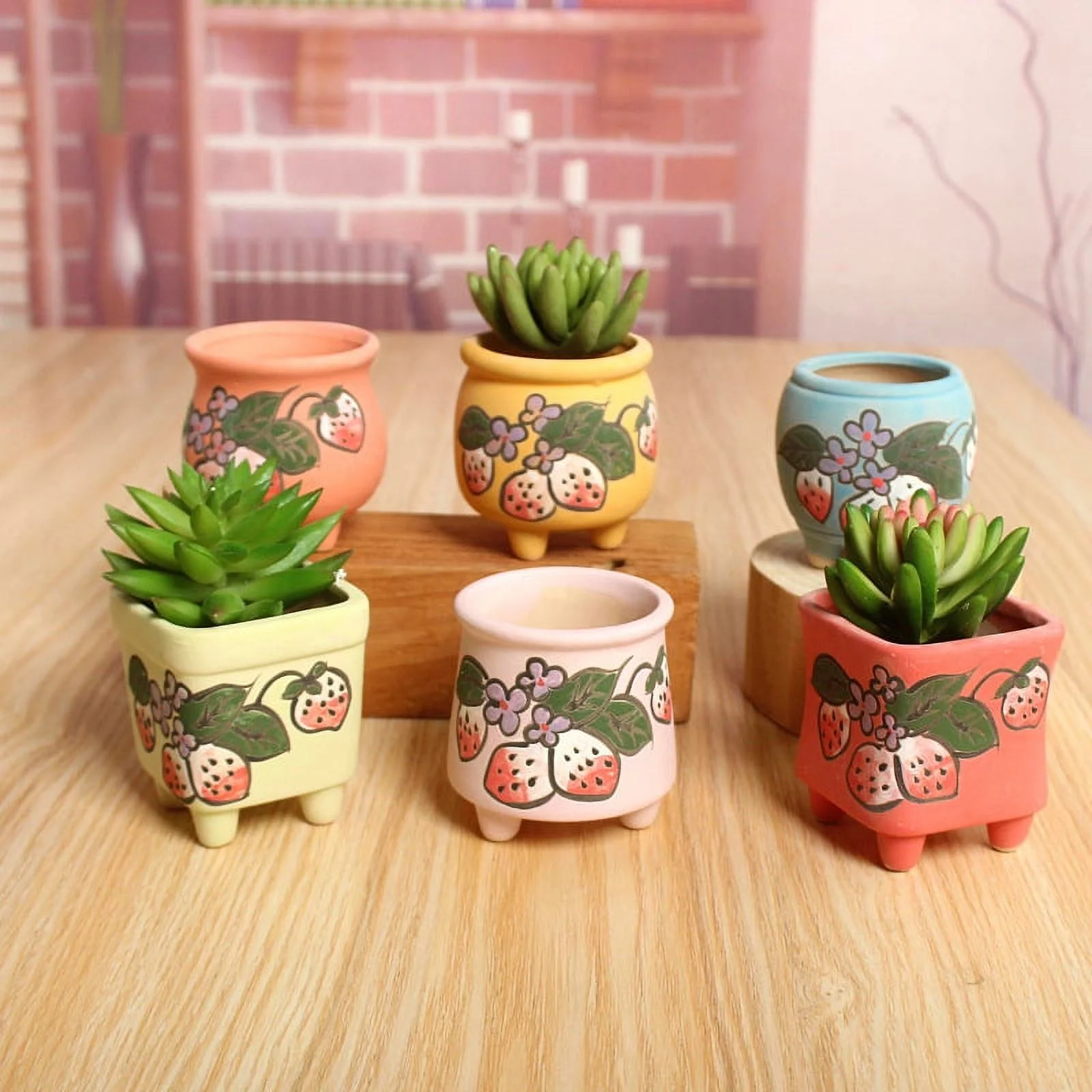 Hand-painted Ceramic Succulent Planter - Korean Style Thumb Plate for Seedling Cultivation