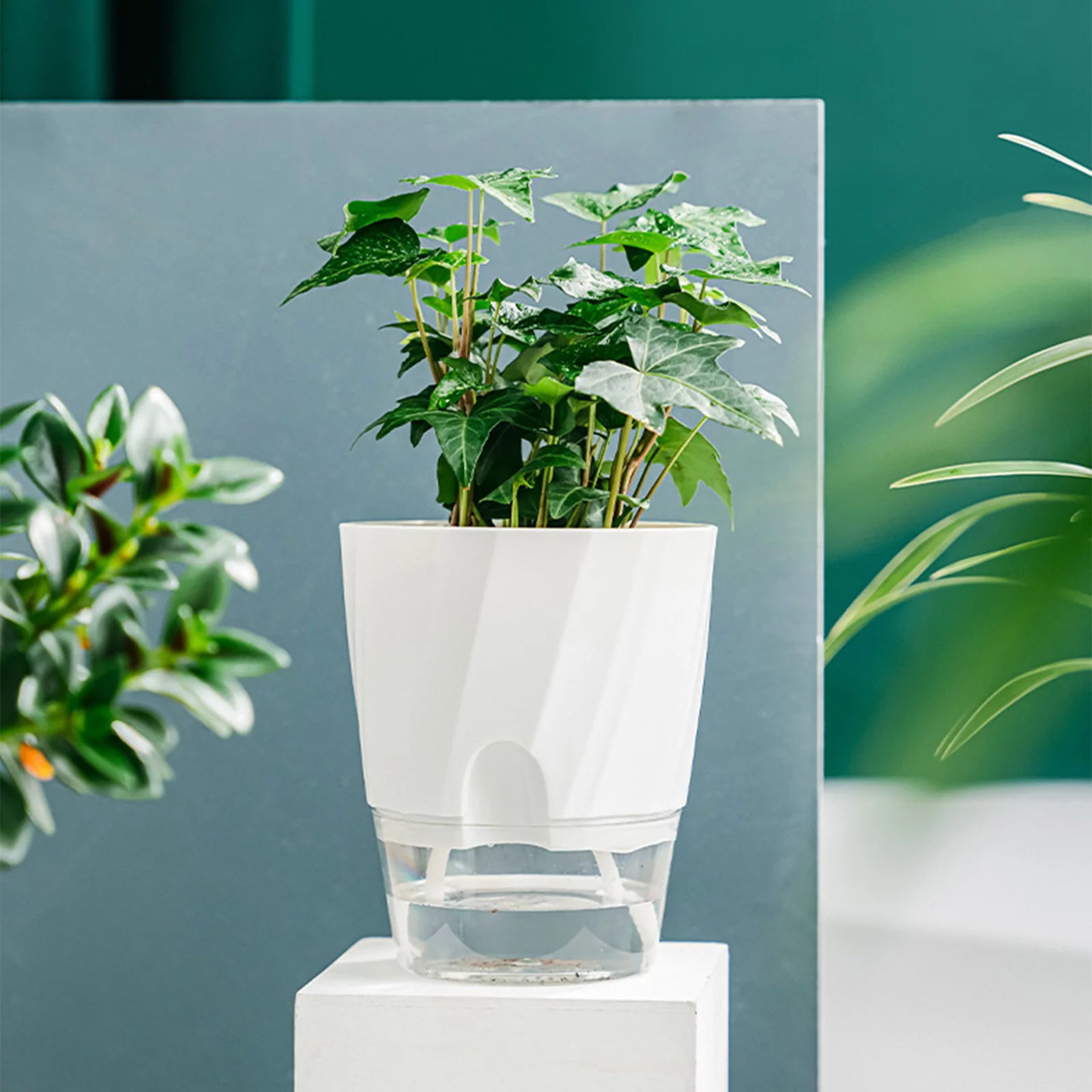 DYWADE 4/July Self Watering Planter African Violet Pots Clear Automatic Watering Planter Flower Pot Square Pot for All House Succulents Herb B One Size