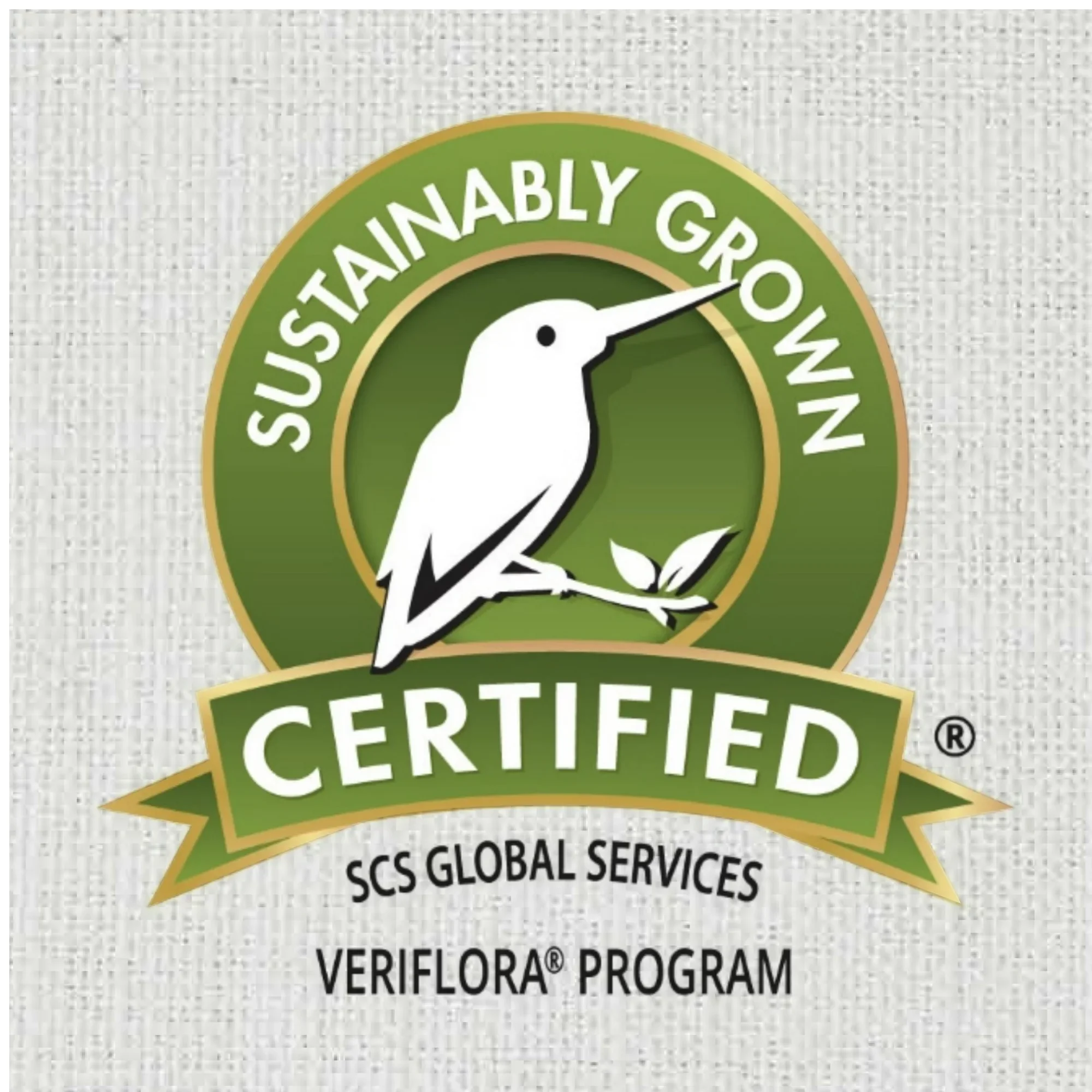 Pennington Ultra Grow Parsley & Potting Soil Bundle 2.5 lb, 8 Qt. Bag