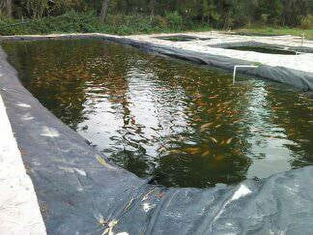 36x70 Pond liner ,durable,resistent,Free Shipping, Pond liner ,durable,resistent,Free Shipping, Spring Sale!Lifetime warranty Sale!Lifetime warranty